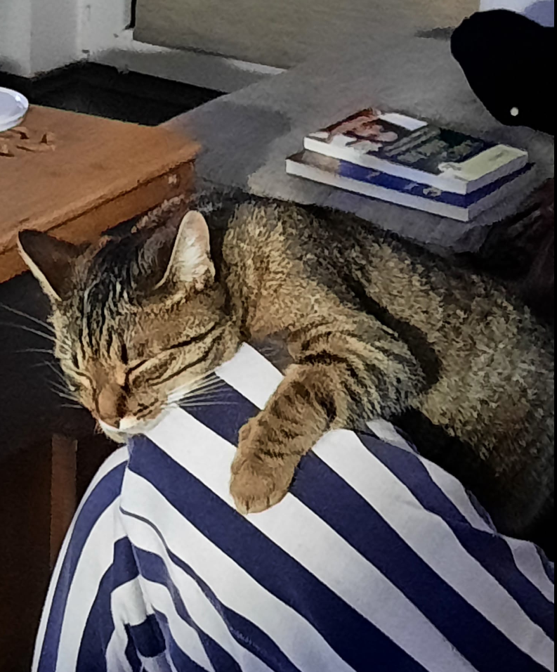 luna