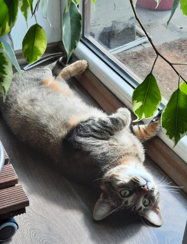 luna
