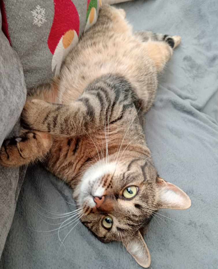 luna