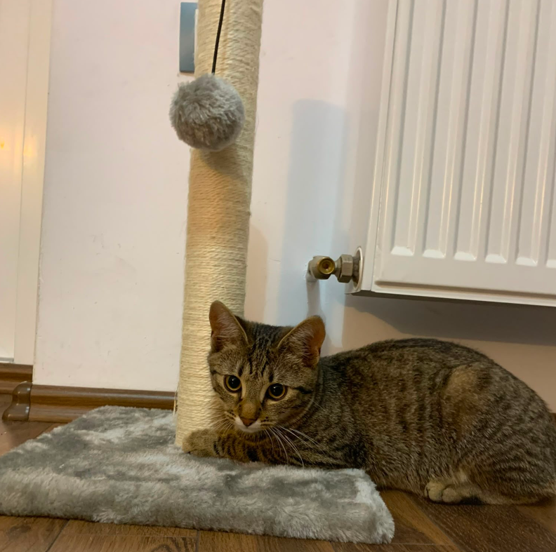 luna