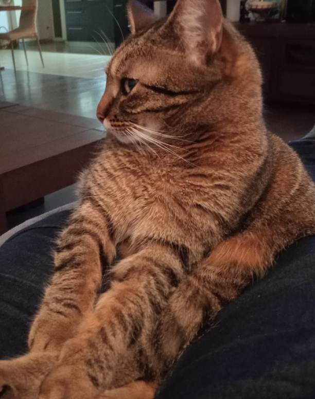 luna