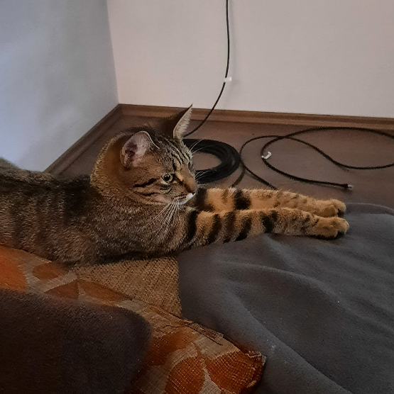 Luna
