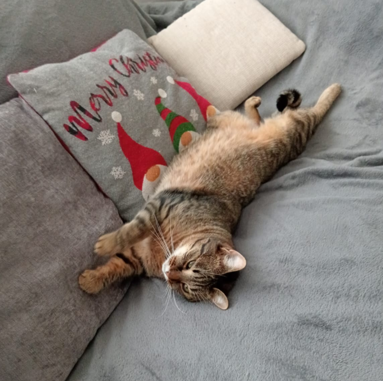 luna