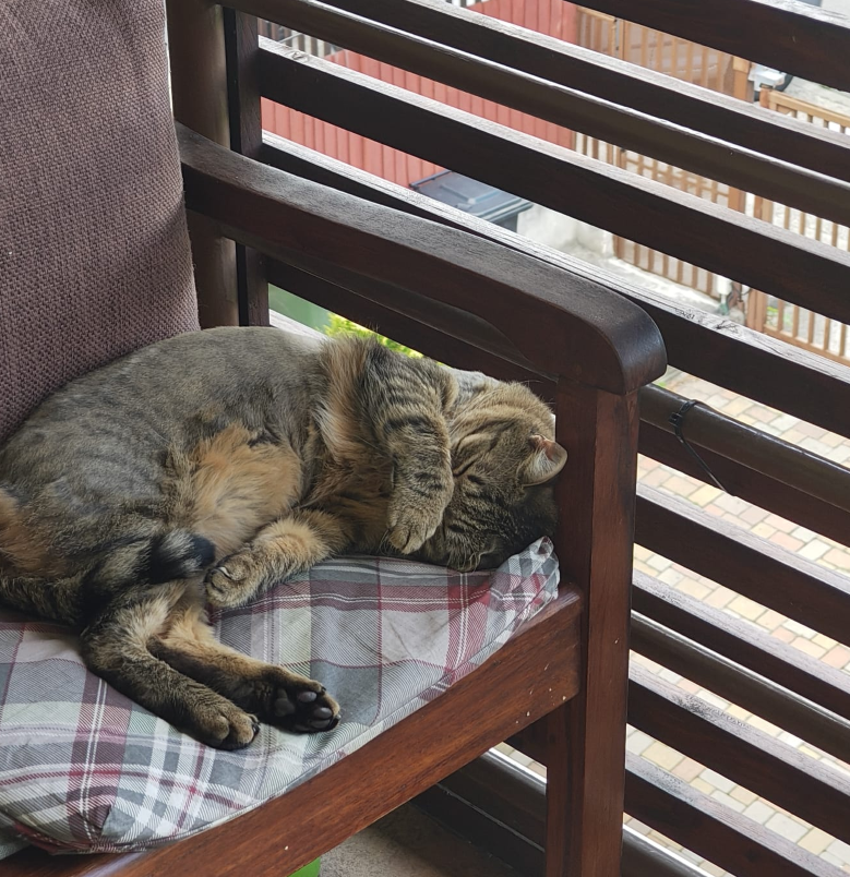 Luna