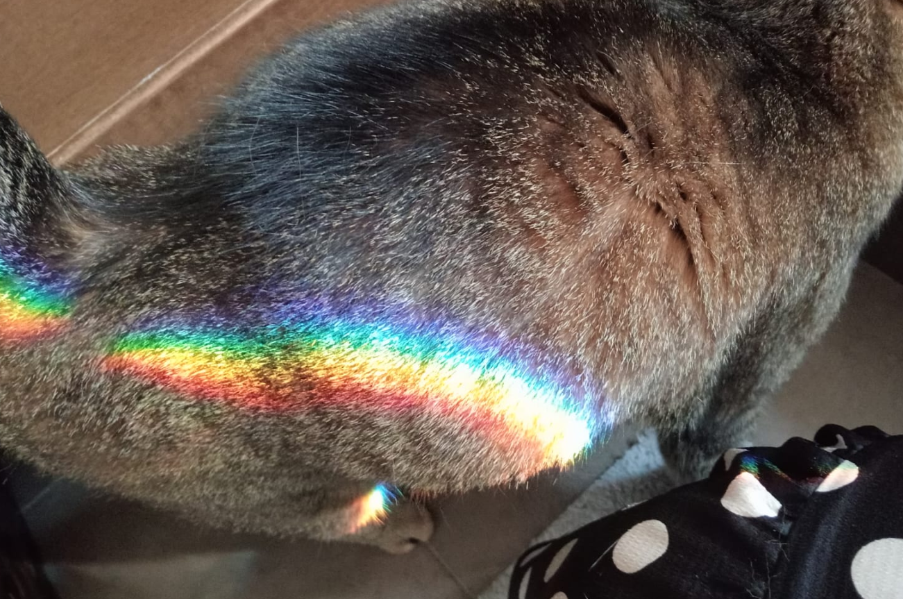 luna