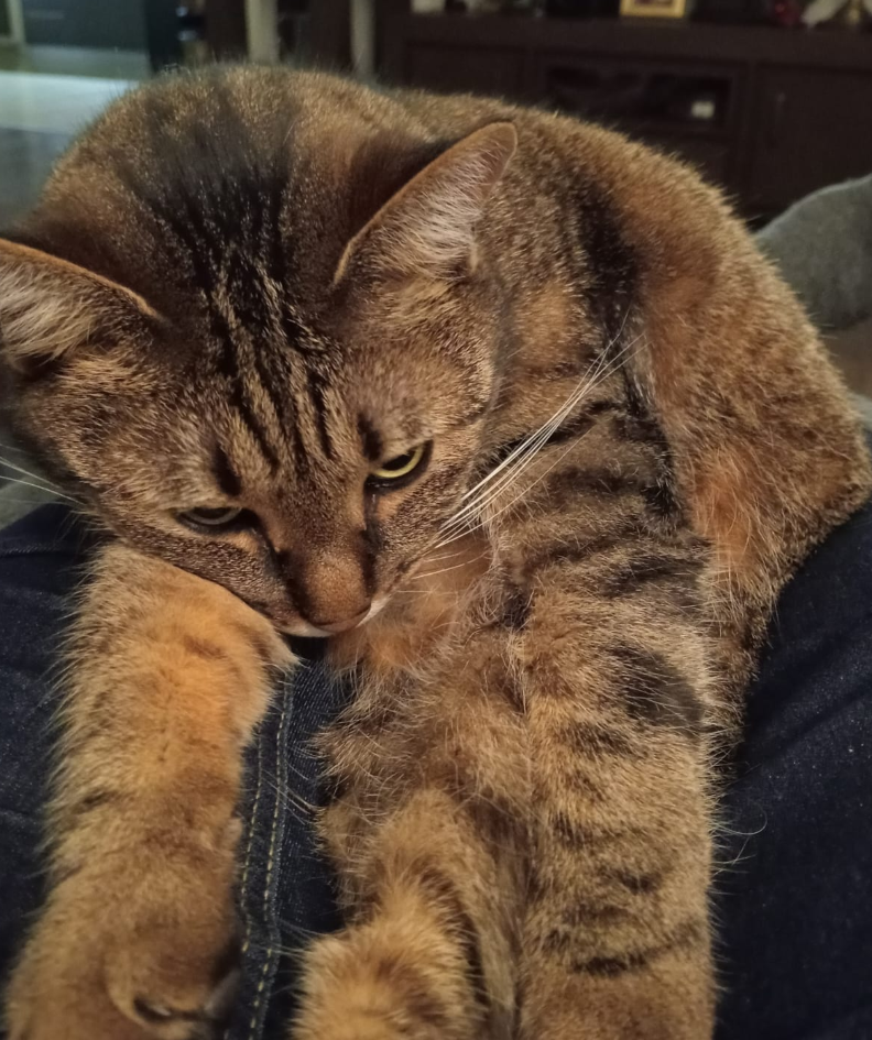 luna