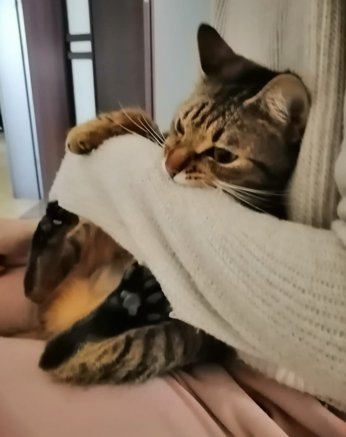 luna