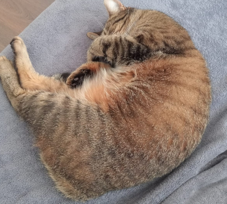 luna