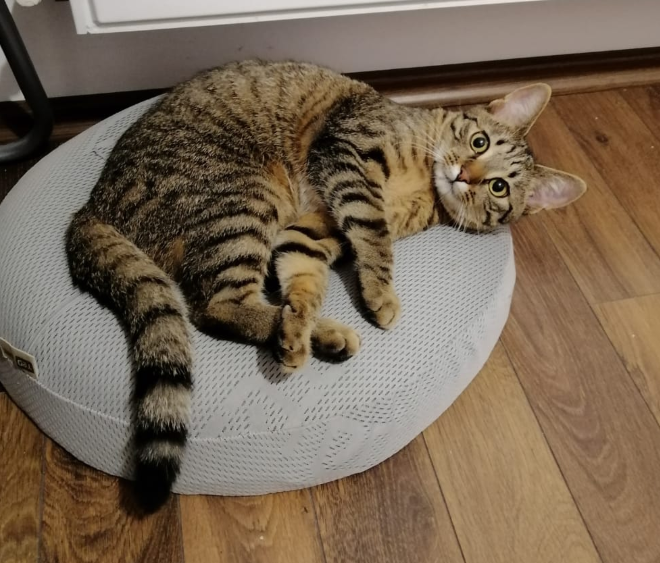 luna