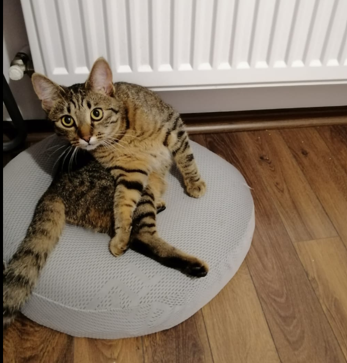 luna