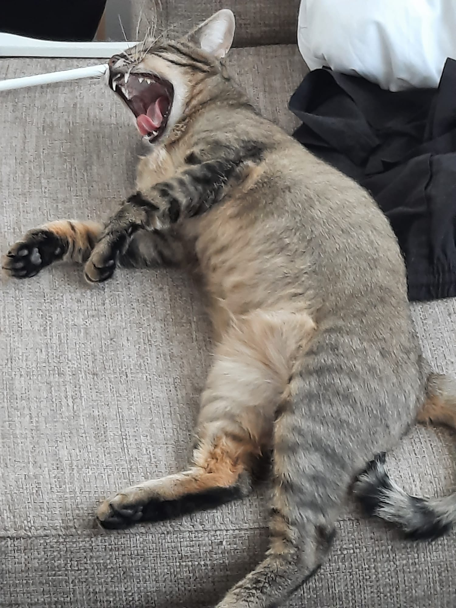 Luna