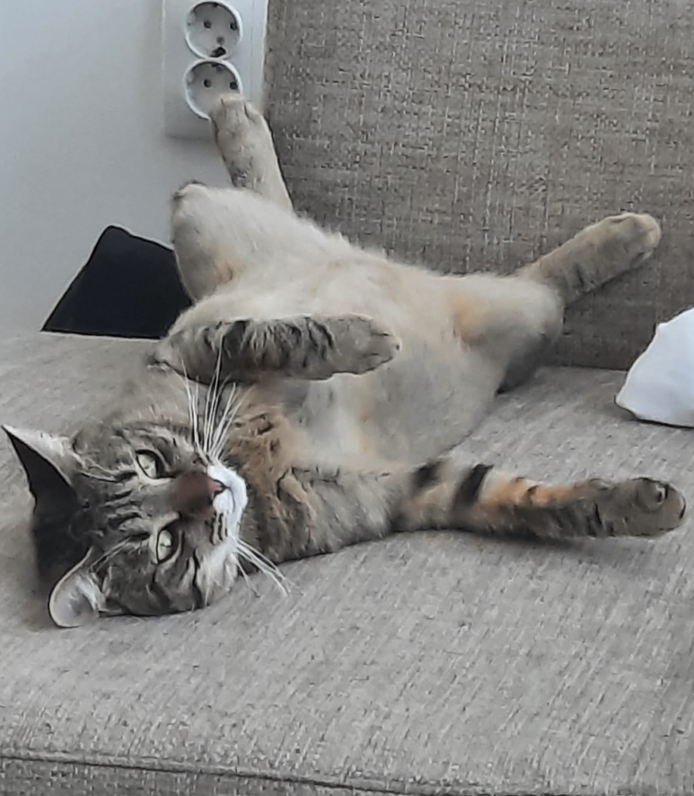 Luna