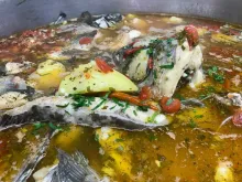 Bors pescaresc