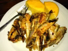 Hamsi pane